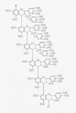 柿タンニンの分子構造